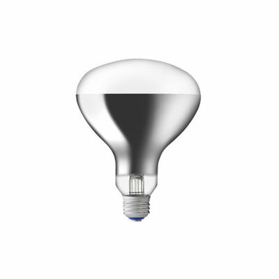 屋外用散光形レフランプ 150W型 岩崎電気 RF110V135WH 屋外照明 投光ランプ 省エネ 長寿命 明るさ 防水 耐久性 環境にやさしい 高輝度 エネルギー効率 耐候性 デザイン性 節電 エコフレンドリー