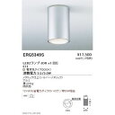 遠藤照明 STYLISH LEDZ series 軒下用シーリングダウンライト ERG5349S