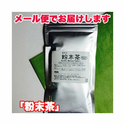 鈴木園 【メール便対応】粉砕用 給茶機対応お茶 粉末(100g) カテキンまるごとお湯でも水でも召し上がれます「粉末緑茶」 SZK-653450