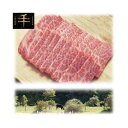 その他 千屋牛「A5ランク」焼き肉用(ロース)肉 900g TYR-900【納期目安：1週間】