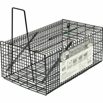 ブラックねずみ捕獲カゴ 角型 大 TAKAGI 4907052749955 殺鼠剤不要 安心安全 小さなねずみも逃さず 経..