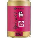 その他 【ケース販売】伊藤園 梅こんぶ茶【50g×20缶セット】 まとめ買い ds-364881