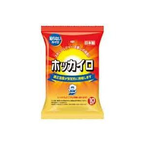 その他 (業務用2セット)興和新薬 ホッカイロ 10個入×24パック ×2セット ds-1474787