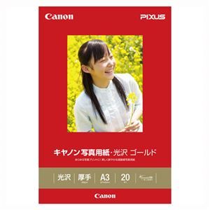 その他 （まとめ） キヤノン Canon純正プリンタ用紙 写真用紙・光沢 ゴールド GL-101A320 20枚入 【×2セット】 ds-1536981