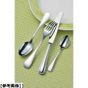 TKG (Total Kitchen Goods) 【メール便での発送商品】SA18-12リゾン(テーブルナイフ/刃付) OLZ010300