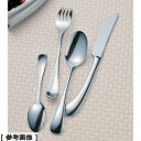 TKG (Total Kitchen Goods) 【メール便での発送商品】SA18-8ピカソ(テーブルナイフ/刃付) OPK010300