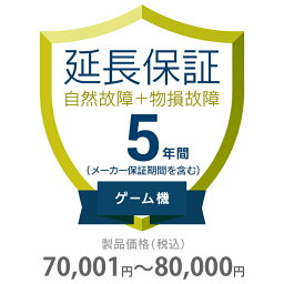 物損付き保証 5年間に延長 ゲーム機 70001～80000円 K5-BG-553318