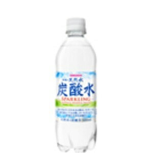 その他 【まとめ買い】サンガリア 伊賀の天然水炭酸水 PET 500ml ×24本（1ケース） ds-2166170