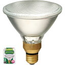 ELPA ハロゲンビームランプ散光65W EBRF110V65W ハロゲンビームランプ ランプ 散光 65W 屋内 外兼用 ビーム角30°
