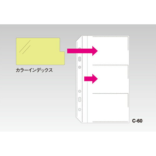 セキセイ ザ・カード システムカードホルダー差替式 C-60-00 (10枚) 4974214153684 システムカードホルダー 穴数6穴 名刺収納 インデックス付 グリーン購入法