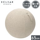 エレコム バランスボール カバー 65cm 取っ手付き 布 椅子 エクササイズ トレーニング フィットネス ストレッチ ヨガ ダイエット 体幹 ベージュ HCF-BBC65BE