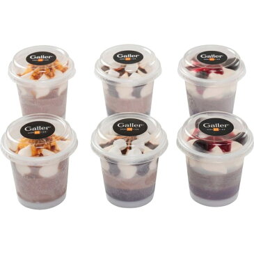 その他 ガレー チョコレートアイスパルフェ(6個) GL-P(のし可) 4934397308196