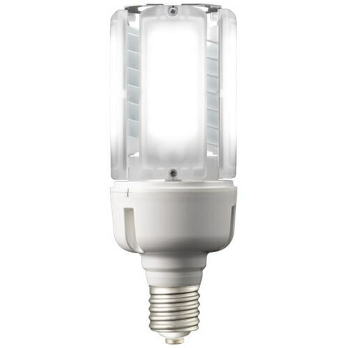 岩崎電気 作業灯・照明用品/電球(LED) LEDioc LEDライトバルブK(53W) LDT100-242V53N-G-E39