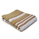 【当日出荷】TEKNOS 洗えるひざ掛け毛布(120×80cm)(ベージュ系) HM-1292 洗えるひざ掛け毛布 冷え性対策 電気ひざ掛け ポリエステル素材 ...