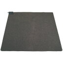 TEKNOS 2畳用カーペット本体のみ(176×176cm)※カーペットカバーは付いていません TWA-2002B カーペット 暖房 2畳 ポリエステル ダニ退...