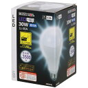 V ƓEƖpi/d(LED) EARTH MAN LEDd(30W)(LL-30A) TKG-1404183