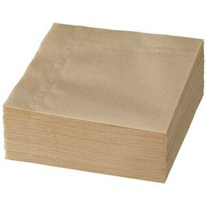 (まとめ)大黒工業 紙ナプキン 4つ折 未晒し 1パック(500枚:100枚×5袋) 【×10セット】 ds-2515354 大黒工業 500枚 100枚×5袋 日本製 柔軟性 使いやすい ハイクオリティー 豊富な量 衛生的 エコフレンドリー 便利 安心