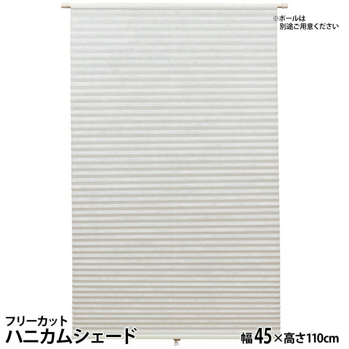 【ポイント最大24倍・送料無料】ハニカムスクリーン 年中 節電 省エネ ニチベイ レフィーナ25 オストル(非防炎)＋みなもII(防炎) ツイン 電動式 H3104～H3106 幅2800×高さ1000mm迄