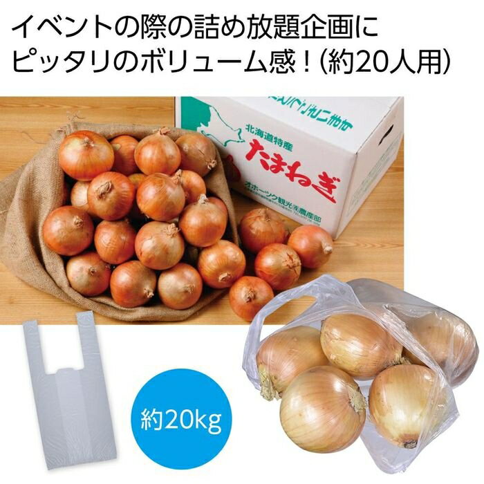 北海道産 玉ねぎ詰め放題セット20kg(約20人用) 2476283