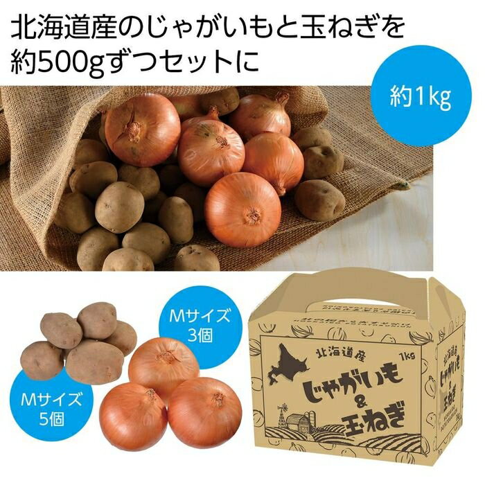 【16個セット】北の国からおすそ分け 北海道産じゃがいも&玉ねぎセット1kg 2564360