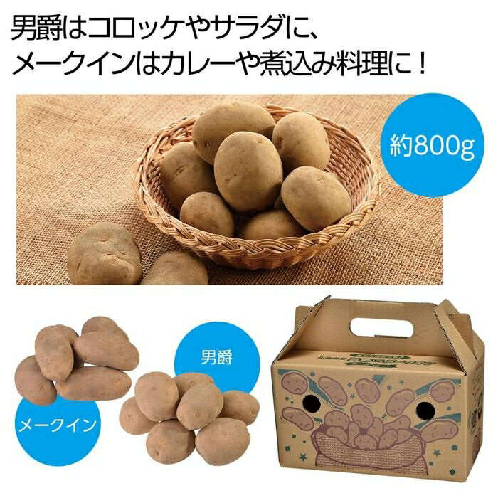 【24個セット】あなたはどっち?北海道産男爵VSメークイン 食べ比べセット800g 2564370 産男爵 メークイン 食べ比べ ジャガイモ コロッケ カレー 野菜 セット レシピ 煮込み料理 サラダ 比較 試してみよう 家族 プレゼント