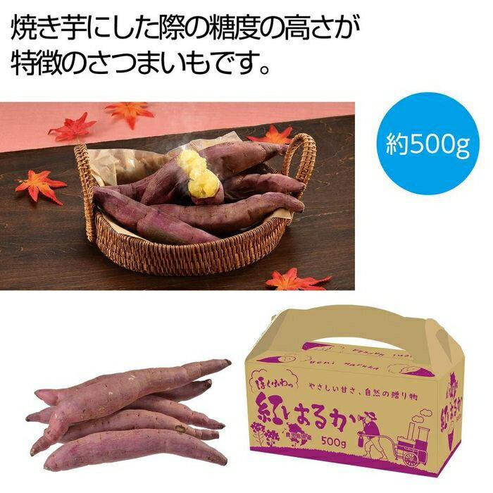 【16個セット】ほくふわっ 鹿児島県産紅はるか500g 2564380