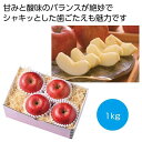 サンふじ1kg 2405802 サンふじ りんご 甘み 酸味 シャキッと 蜜 果汁 イベント プレゼント 品切れ