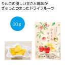 【240個セット】信州産ふじりんご使用 ひとくちりんご30g 2476346 信州産 ふじりんご ドライフルーツ 長野県 ひとくち ジッパー付袋 イベント景品 ...