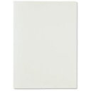 2WAYホルダ FL-116CH A4/A3 ホワイト10冊 ds-2554312 A4 A3 ホワイト 収納方法 プレゼン 不透明シート カードホルダー 大容...