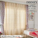 ホームテイスト DISNEY/ディズニー シアーカーテン 100×176cm×1枚【PRINCESS/Magic lamp voile プリンセス/マジックランプボイル】(ホワイト) SH-26-MLV176-WH