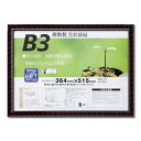 樹脂製 賞状額 金ラック R SP B3 収納寸法:364×515mm 賞状 額 表彰状 卒業証書 免許書 許可証 額縁 フレーム ds-2569129 収納寸法