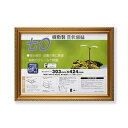 樹脂製 金色賞状額 金消 R SP 七〇 収納寸法:303×424mm 賞状 額 表彰状 卒業証書 免許書 許可証 額縁 フレーム ds-2569159 収納寸法 樹脂製フレーム 透明PET仕様 簡単装着 壁掛けひも 台紙 梱包形態