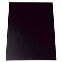 プラチナ万年筆 プレパネ APA1-B ブラック ds-2570738 プレゼンテーション 透明フィルム 弱粘着剤 発泡ポリスチレン 追加