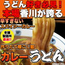 天然生活 【ゆうパケット出荷】讃岐の製麺所が作る、レンジで簡単!辛すぎないスパイシーなカレーうどん4食(180g×4) SM00010634 3