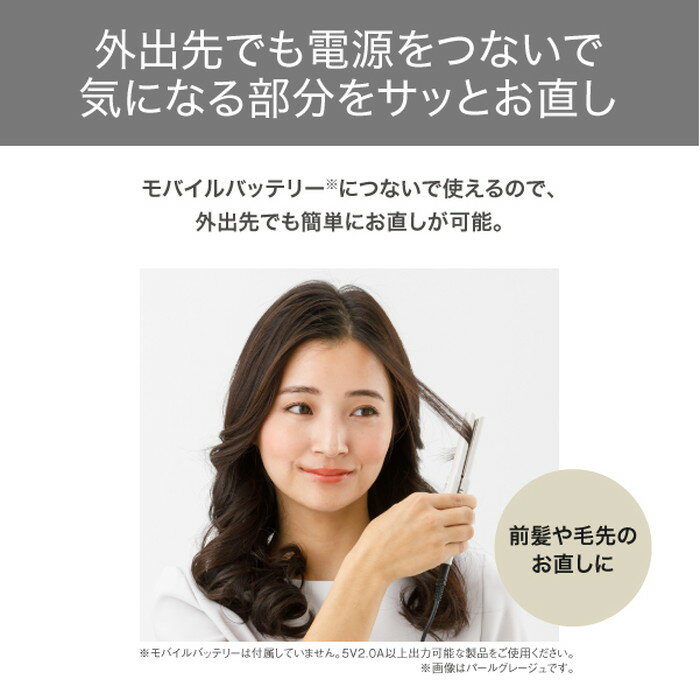 テスコム ヘアアイロン ストレート 国内最小 コンパクト USB給電式 ナノセラミックコーティング 自動電源OFF 海外OK TS310A