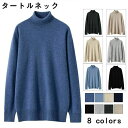 ウール 100% プルオーバーセーター メンズセーター タートルネック カジュアル ニット 長袖 トップス S M L LL 3L 春服 秋服 冬服