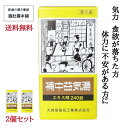 明日20時～最大500円off！ 補中益気湯エキス錠 大峰 40日分 240錠 X 2個 虚弱体質 寝汗 疲労 倦怠 漢方薬 病後 術後 衰弱 食欲不振 感冒【第2類医薬品】【送料無料】 肉体疲労 滋養強壮 【大峰】 ほちゅうえっきとう P7