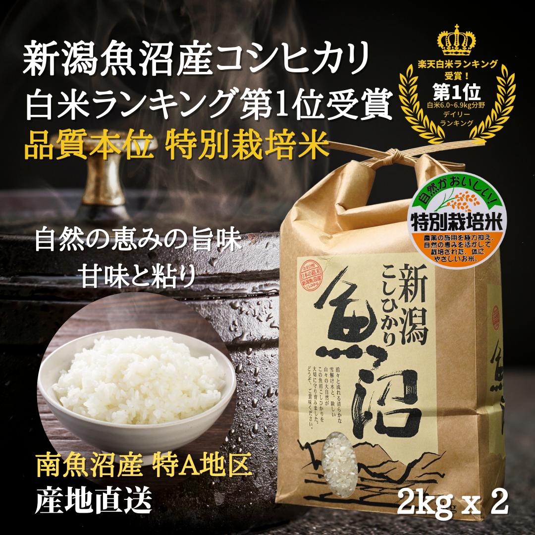 最終日！10％off！ お歳暮に 魚沼産コシヒカリ 新米 令和5年 特別栽培米 お歳暮 お年賀 4kg 【2KG X 2袋】 【白米】 特A地区 産地直送 新潟 魚沼産こしひかり 魚沼コシヒカリ 美味しい米 新潟 特産 贈答品 粗品 米 挨拶品 ギフト プチギフト贈答用 P2 -cのサムネイル
