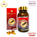 本日最大ポイント13倍! 黒高麗人参エキス 120カプセル入り【送料無料】黒人参エキス サポニン ジンセノサイド 黒参 コクジン 健康 サプリ サプリメント 黒...