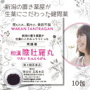 本日最大ポイント15倍! 和漢 たんとらがん 和漢 膽肚羅丸 10包 和漢胃腸薬 熊胆 紅参 入り 胃薬 胃腸薬 漢方的処方 効果 胃弱 胃もたれ 胸やけ 消化...