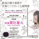 本日最大ポイント15倍! 【あす楽】和漢 たんとらがん 和漢 膽肚羅丸 10包 X 2個 和漢胃腸薬 熊胆 紅参 入り 胃薬 胃腸薬 漢方的処方 効果 胃弱 胃...