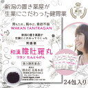 本日最大ポイント15倍! 和漢 たんとらがん 和漢 膽肚羅丸 24包入り 和漢胃腸薬 熊胆 コウジン入り 胃薬 胃腸薬 漢方的処方 効果 胃弱 胃もたれ 胸やけ...