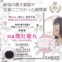 本日最大ポイント15倍! 和漢 たんとらがん 和漢 膽肚羅丸 24包(1日3包 X 8日分) X 2個 和漢胃腸薬 熊胆 紅参 入り 胃薬 胃腸薬 漢方的処方 ...