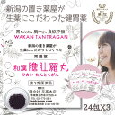 本日最大ポイント15倍! 【あす楽】和漢 たんとらがん 和漢 膽肚羅丸 24包 ( 1日3包 X 8日分) X 3個 和漢胃腸薬 熊胆 紅参 入り 胃薬 胃腸薬...