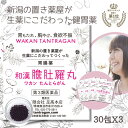 明日 20時~最大500円Off! 【あす楽】和漢 たんとらがん 和漢 膽肚羅丸 30包 X 3個 和漢胃腸薬 熊胆 コウジン入り 胃薬 胃腸薬 漢方的処方 効果 胃弱 胃もたれ 胸やけ 消化不良 食欲不振 二日酔い 飲み過ぎ 食べ過ぎ 【第3類医薬品】 P7 楽天