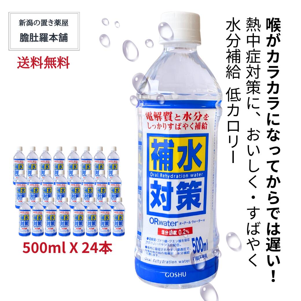 熱中症対策 ドリンク ORウォーター オーアールウォーターH 500ml X 24本【1ケース】補水対策 熱中症対策グッズ 清涼飲料水 ペットボト..