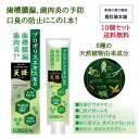 本日最大ポイント15倍! 薬用はみがき 歯磨き粉 トゥースプロテクトプロ 天蜂 X 10個 プロポリス入 天然植物由来 歯槽膿漏予防 歯肉炎予防 口臭防止 80...