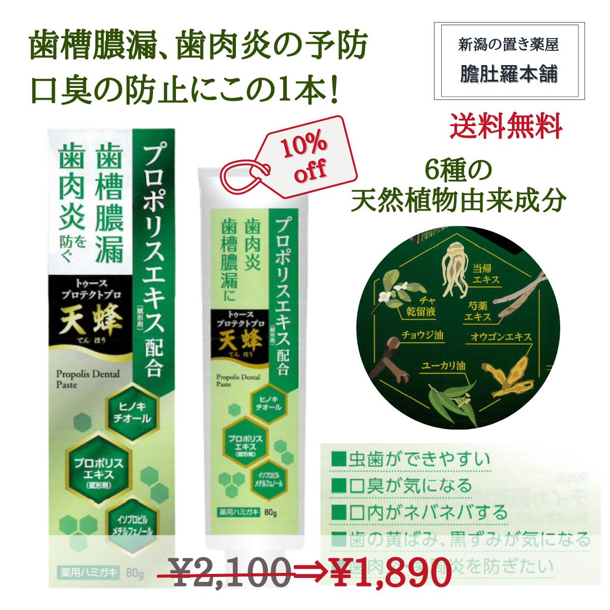 12/3 20時〜10％Off！ 薬用はみがき 歯磨き粉 トゥースプロテクトプロ 天蜂 プロポリス入 天然植物由来 歯槽膿漏予防 歯肉炎予防 口臭防止 80g 医薬部外品 送料無料 P2 TOP-1