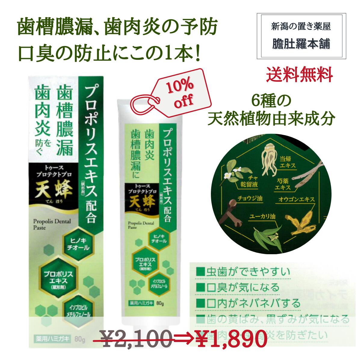 今だけ全品10％off！ 薬用はみがき 歯磨き粉 トゥースプロテクトプロ 天蜂 プロポリス入 天然植物由来 歯槽膿漏予防 歯肉炎予防 口臭防止 80g 医薬部外品 送料無料 P2 TOP-c