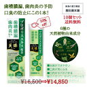 只今、10%off! 薬用はみがき 歯磨き粉 トゥースプロテクトプロ 天蜂 X 10個 プロポリス入 天然植物由来 歯槽膿漏予防 歯肉炎予防 口臭防止 80g ...